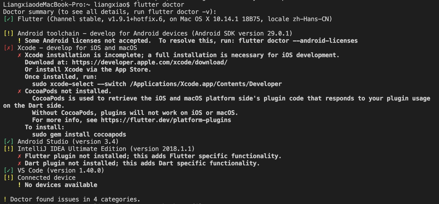 flutter doctor